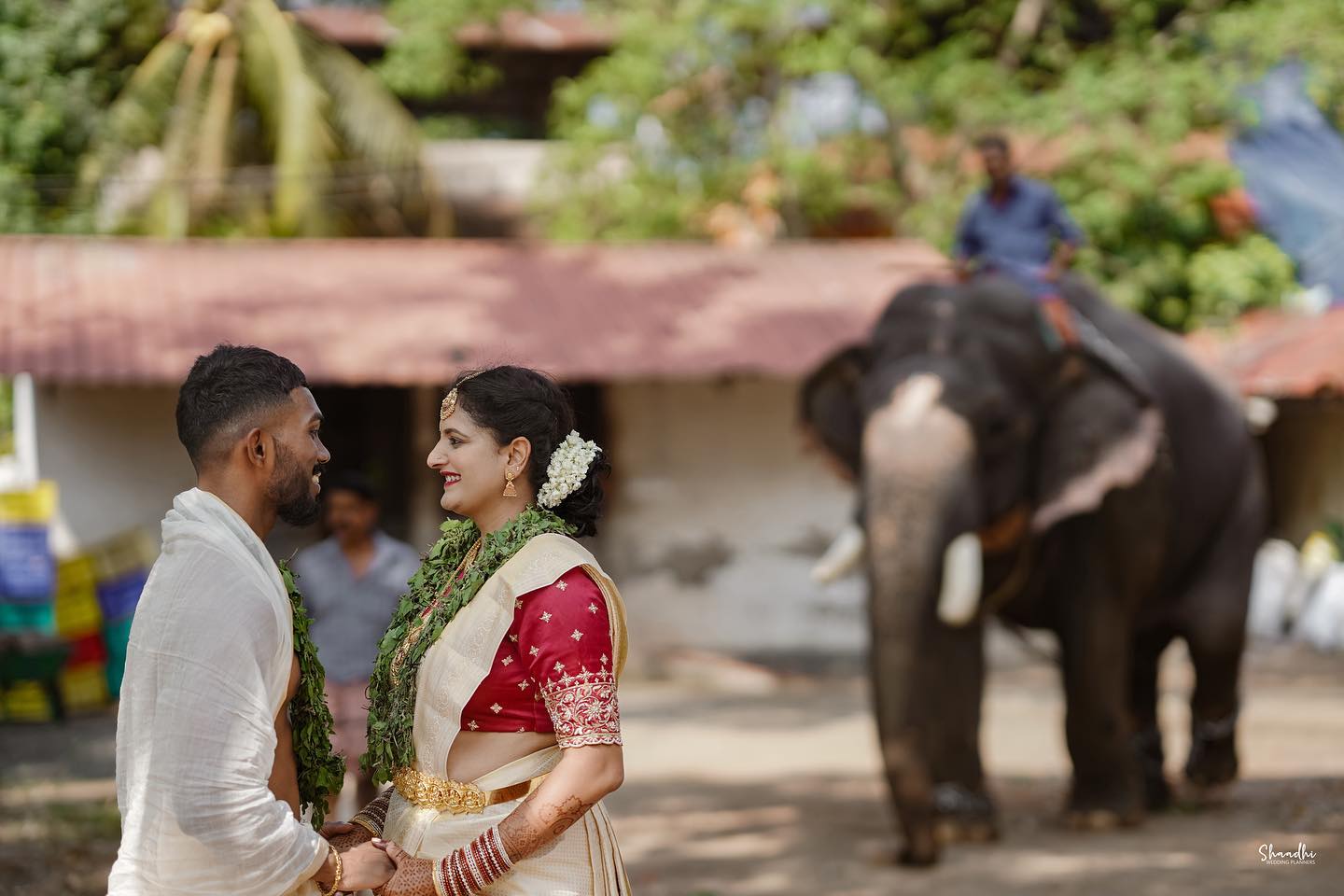 Wedding guest experience by Shaadhi Wedding Planners